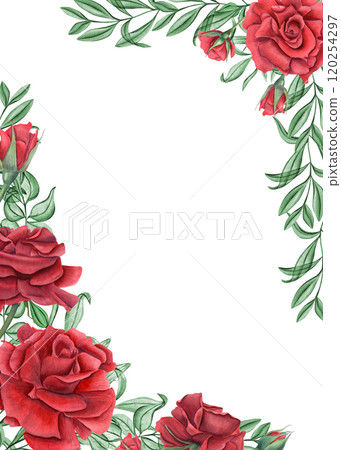 Red rose flowers, abstract leaves watercolor vertical rectangle frame. Summer garden blooming deep ruby roses with eucalyptus. Empty space for text. Template for invitations, greeting cards Red rose flowers, abstract leaves watercolor vertical rectangle frame. Summer garden blooming deep ruby roses with eucalyptus. Empty space for text. Template for invitations, greeting cards 120254297