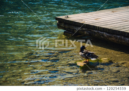 Konigssee Lake in Bavaria Germany with Church by the Lake White Boat Forested Mountain and Beautiful Sunny Trekking in Berchtesgaden German Alps. High quality photo 120254339