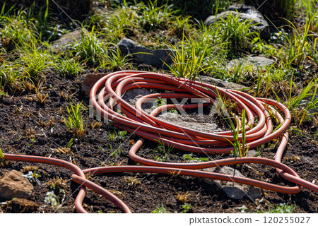Colorful hose coiled on lush garden soil surrounded by green grass and stones during a sunny afternoon 120255027