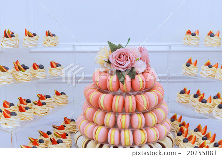 Stunning dessert arrangement showcases tall macaron tower in shades of surrounded by small fruit topped pastries. Stunning dessert arrangement showcases tall macaron tower in shades of surrounded by small fruit topped pastries. 120255081