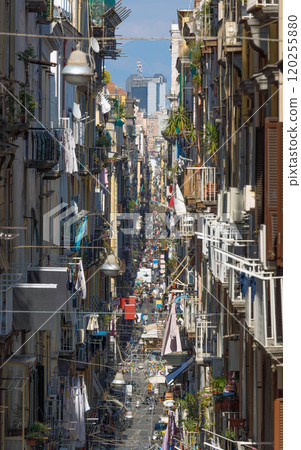 Typical narrow and bustling street in Naples, Italy 120255880