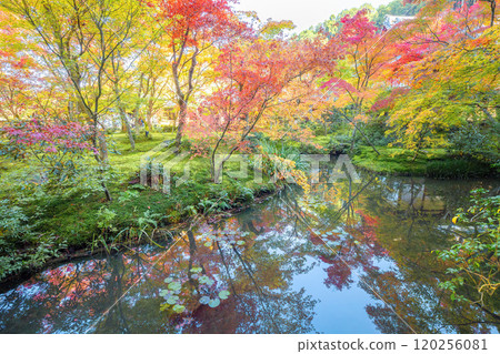 Enko-ji秋葉 120256081