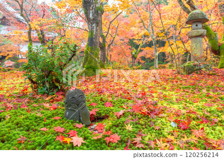 Yuenkoji在秋天 120256214
