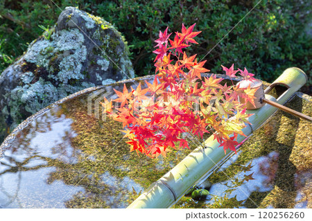 Water gullave of Enkoji Temple 120256260