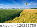 Hot air balloon flies over agricultural field 120256759