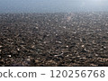 Fertile plowed black soil under sunlight 120256768