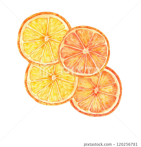 Slices of vibrant orange and yellow citrus fruit. Lemon, orange watercolor clipart for use in holiday cards, food packaging, or seasonal designs. Perfect for recipes, gift tags, and product labels. Slices of vibrant orange and yellow citrus fruit. Lemon, orange watercolor clipart for use in holiday cards, food packaging, or seasonal designs. Perfect for recipes, gift tags, and product labels. 120256781