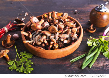 edible mushroom in bowl on a table 120257206