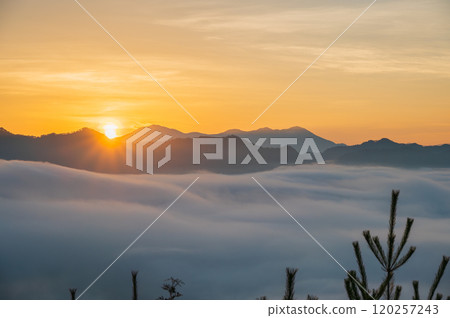 Sunrise and sea of clouds [Hirotsu, Ikeda-cho, Kitaazumi-gun] 120257243