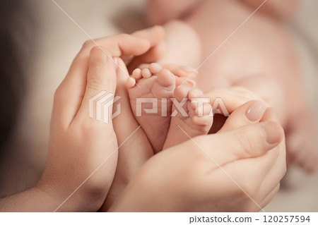 Parent holding in the hands feet of newborn baby. Soft brown toning 120257594