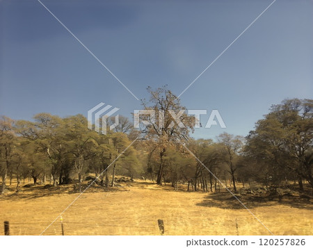 Tuolumne Meadows in Yosemite National Park California USA Photo 120257826