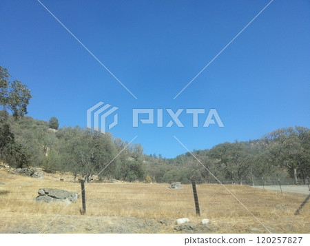 Tuolumne Meadows in Yosemite National Park California USA Photo 120257827