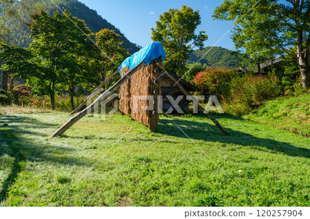 Drying rice and water mill Drying rice and water mill 120257904