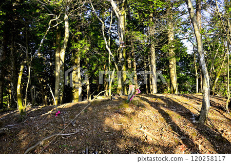 The summit of Mt. Hinatamine in the Doshi Mountains, bathed in the morning sun The summit of Mt. Hinatamine in the Doshi Mountains, bathed in the morning sun 120258117