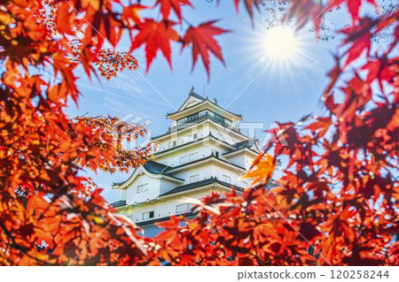 福島縣會津若松市敦賀城（會津若松城）和深秋的鮮紅楓葉 120258244