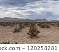 Photo of McCullough Range in Nevada USA 120258281