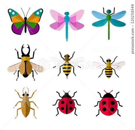 昆蟲套裝 昆蟲套裝 120258549