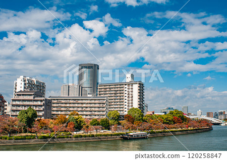 Autumn scenery of the Okawa River, OAP Tower, Osaka City 120258847