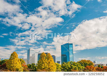 View of OBP from Kema Sakuranomiya Park, Osaka City 120258852