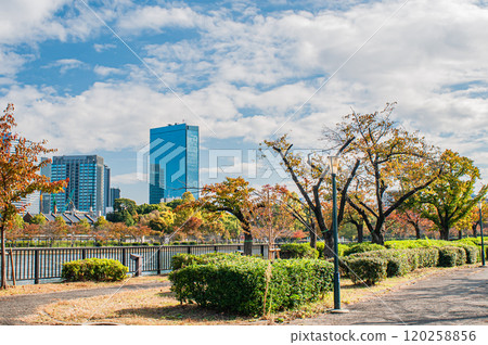 大阪市毛馬櫻之宮公園OBP風景 大阪市毛馬櫻之宮公園OBP風景 120258856