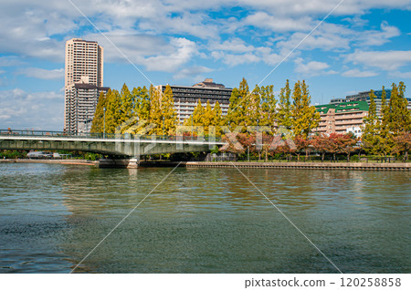 大阪市毛馬櫻之宮公園的秋景 大阪市毛馬櫻之宮公園的秋景 120258858