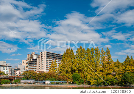 Autumn scenery of Kema Sakuranomiya Park, Osaka City 120258860
