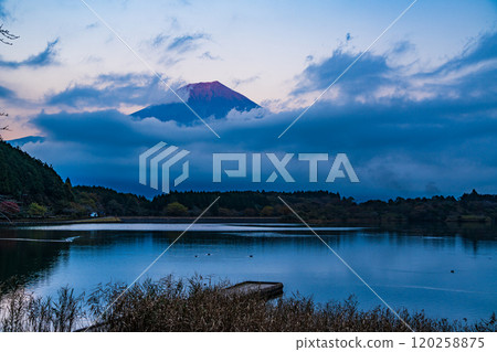 [靜岡縣]黃昏時的狸湖，雲間出現的富士山 120258875