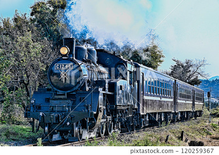Steam locomotive of Moka railroad 120259367
