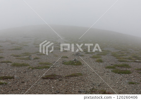 Smoky mountain trail (Mt. Sugoroku, Northern Alps) 120260406