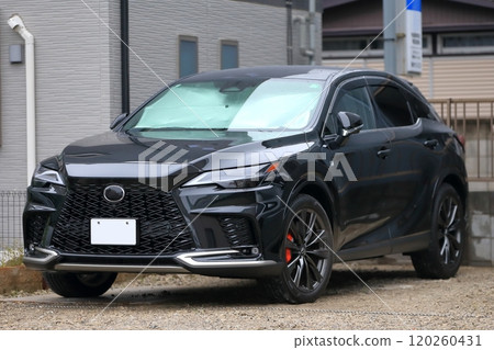 國產跑車 國產跑車 120260431