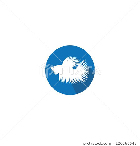 beautiful betta fish vector 120260543