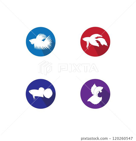 beautiful betta fish vector beautiful betta fish vector 120260547