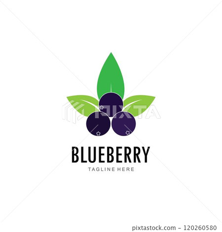 Blueberry logo vector template 120260580