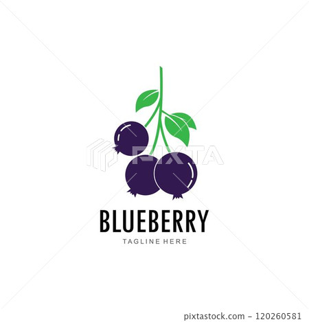 Blueberry logo vector template Blueberry logo vector template 120260581