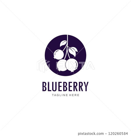 Blueberry logo vector template Blueberry logo vector template 120260584