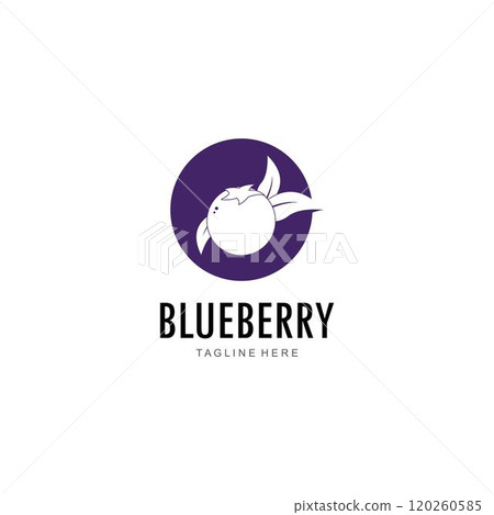 Blueberry logo vector template Blueberry logo vector template 120260585