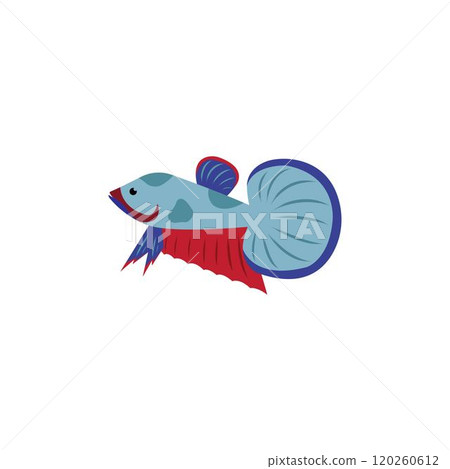 beautiful betta fish vector 120260612
