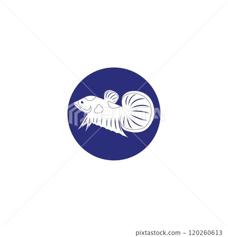 beautiful betta fish vector 120260613