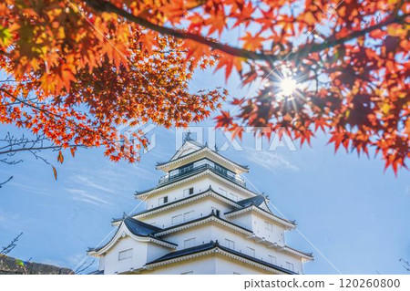 福島縣會津若松市敦賀城(會津若松城)深秋的楓葉 福島縣會津若松市敦賀城(會津若松城)深秋的楓葉 120260800