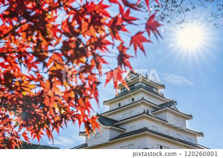 Tsuruga Castle (Aizu-Wakamatsu Castle) and maples in late autumn, Aizu-Wakamatsu City, Fukushima Prefecture 120260801