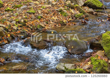 The flow of the Tatsuzawa River in late autumn, a view from the promenade, Inawashiro, Fukushima 120260860
