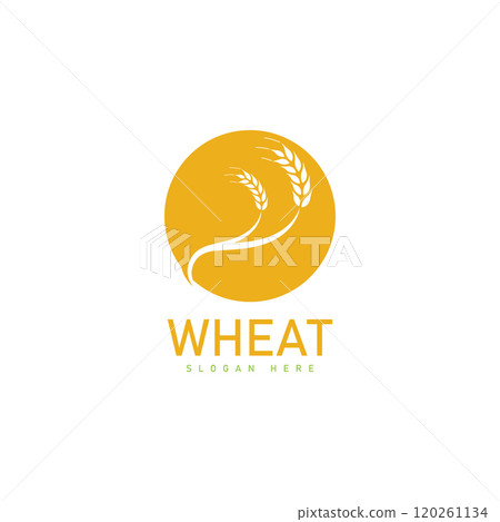 Agriculture wheat Logo Template vector icon design 120261134
