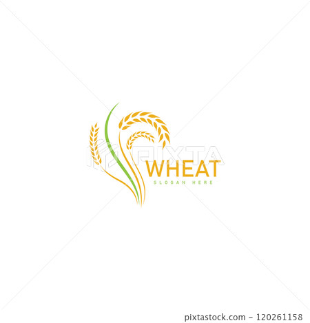 Agriculture wheat Logo Template vector icon design 120261158