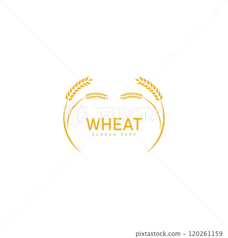 Agriculture wheat Logo Template vector icon design 120261159