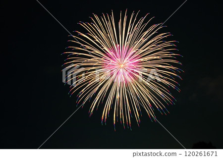 A large flower blooming in the night sky 120261671