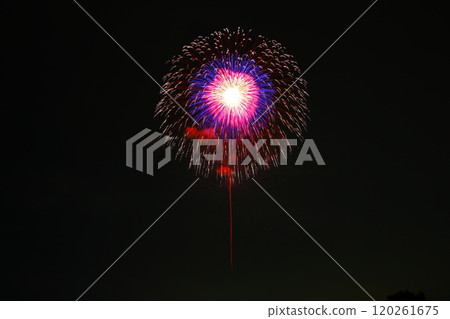 Fireworks in the night sky 120261675