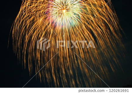 Fireworks blooming in the night sky Fireworks blooming in the night sky 120261691