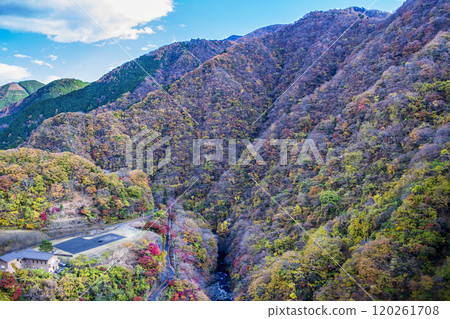 Tokyo, Lake Okutama, downstream of the dam, autumn foliage 120261708