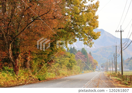 鳥取縣保木大山美麗的山村,大樹上有紅葉 鳥取縣保木大山美麗的山村,大樹上有紅葉 120261807