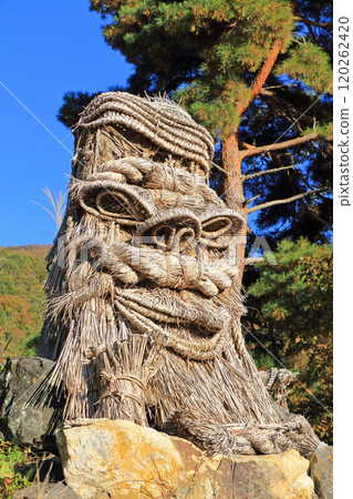 長野市蘆切道祖人大岡 120262420